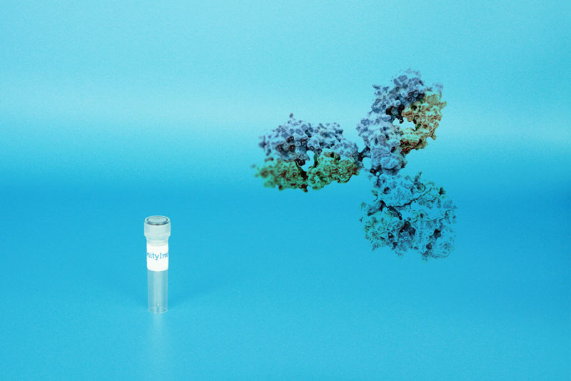 AffinityImmuno antibody product photo
