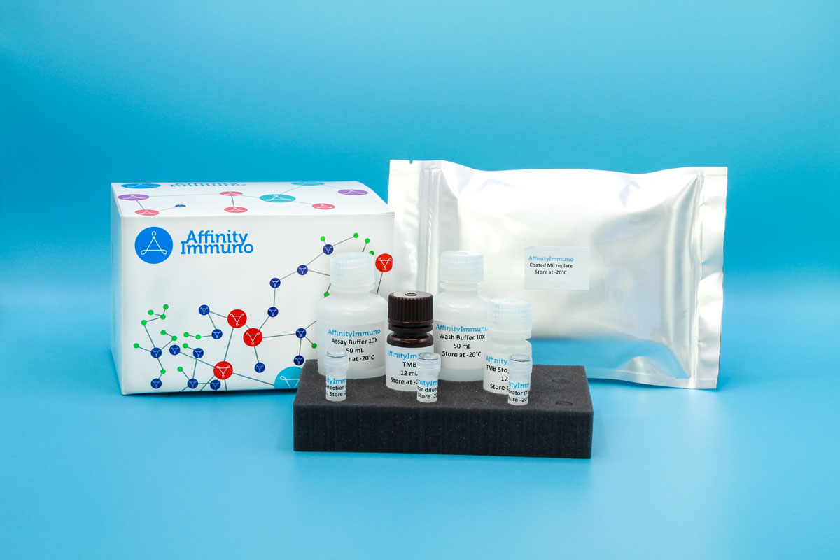 AffinityImmuno ELISA kit product photo